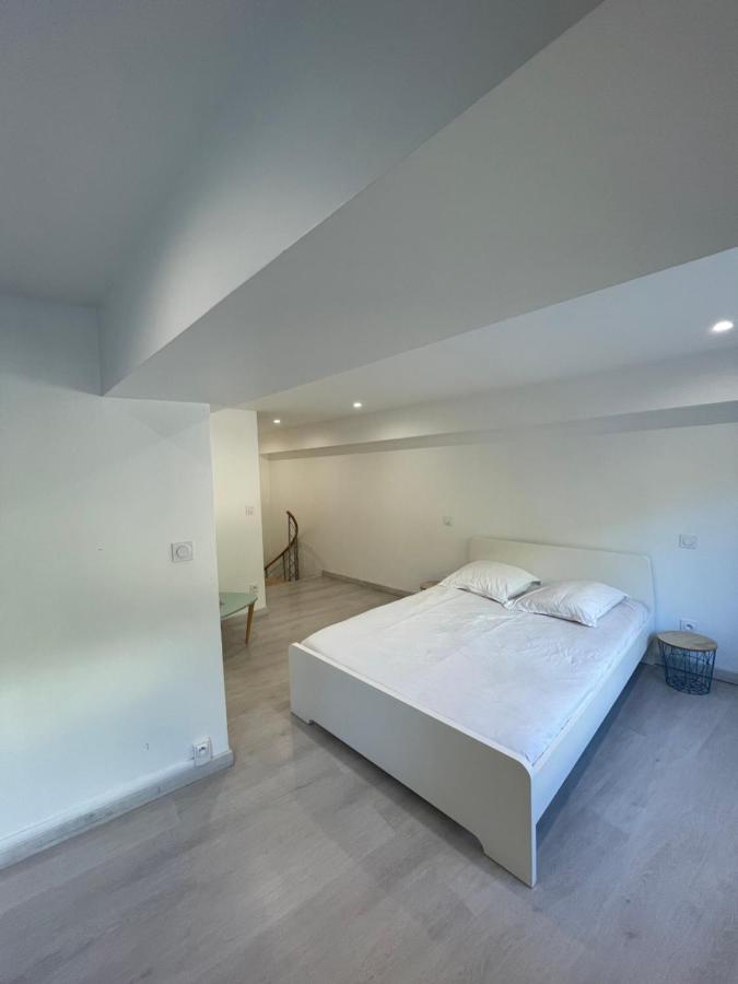 דירות ליון Loft Ravissant A 5 Mn De La Basilique Notre Dame De Fourviere מראה חיצוני תמונה